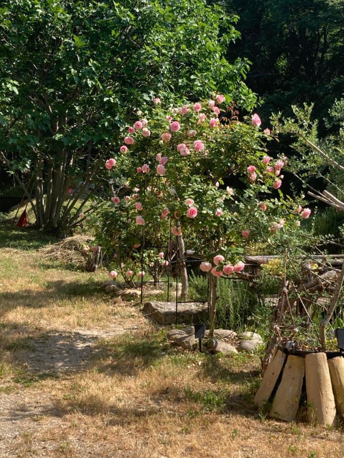 Le Mas Aux Aromes Puget Exterior photo