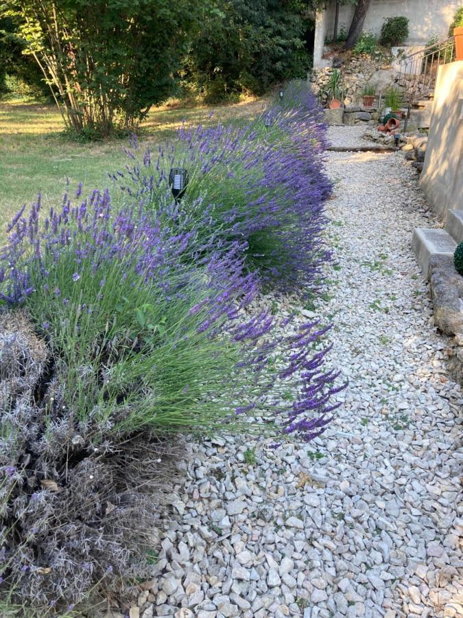 Le Mas Aux Aromes Puget Exterior photo